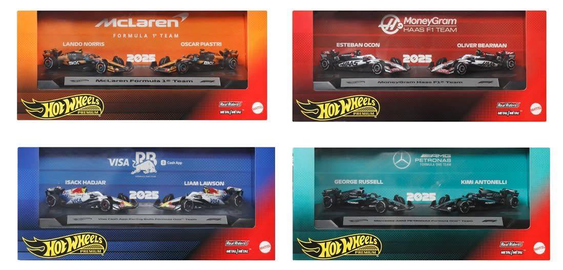 Hot Wheels Premium 2 Pack ( 1 case or 4 pack )